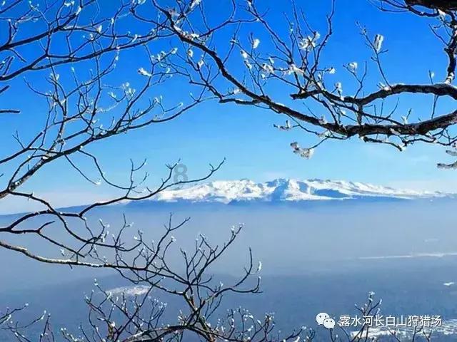 请出示文件